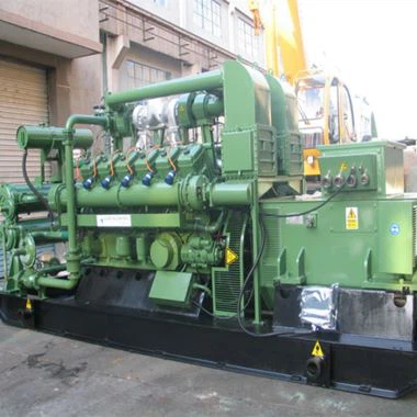 Generator biogazu dla elektryczności